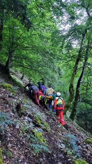 Plusieurs personnes transportent une personne sur une civière orange à travers une pente raide et boisée. Les secouristes portent des vêtements d'intervention rouges et jaunes et des casques.