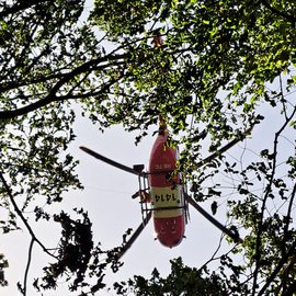 Un hélicoptère de sauvetage Rega Airbus H145, photographié d'en bas à travers des branches d'arbres, est en vol. Le dessous de l'hélicoptère est peint en rouge et blanc et porte l'inscription «1414» et l'immatriculation «HB-TIC». Les pales du rotor sont clairement visibles.