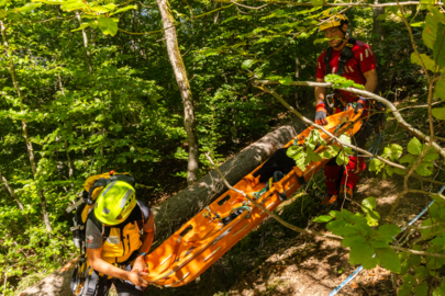 Plusieurs participants se déplacent dans une forêt autour d'un arbre tombé. Ils sont vêtus de tenues d'intervention rouges et jaunes et préparent leur équipement pour le sauvetage.