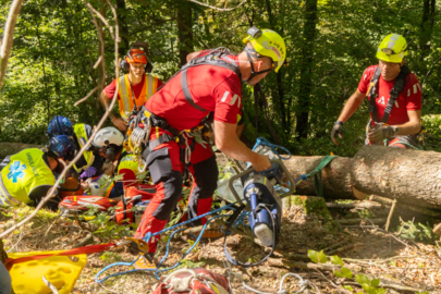 Plusieurs participants se déplacent dans une forêt autour d'un arbre tombé. Ils sont vêtus de tenues d'intervention rouges et jaunes et préparent leur équipement pour le sauvetage.