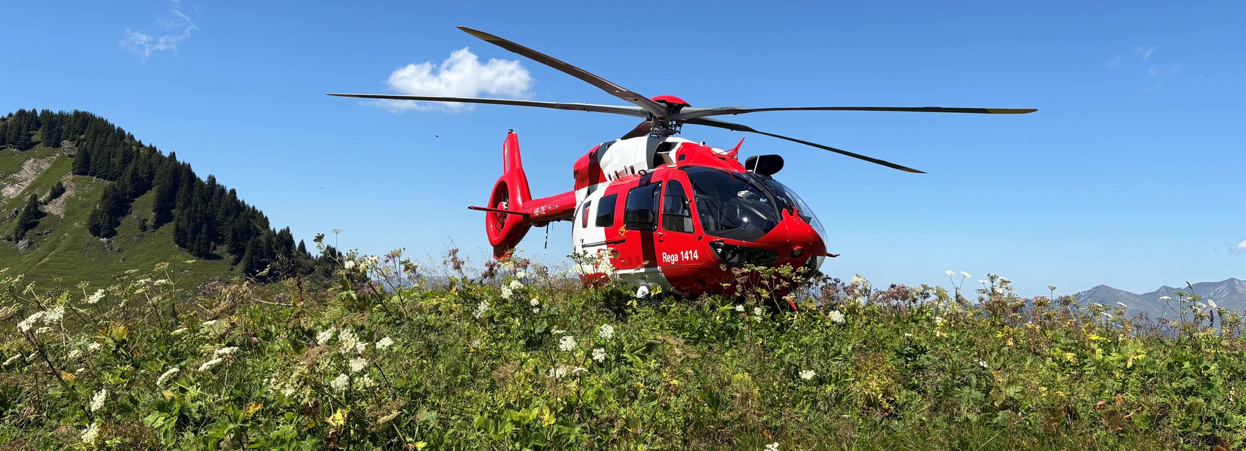 Ein roter Rega Airbus H145 Helikopter ist auf einer Bergwiese, umgeben von grünen Pflanzen und weissen Blüten, unter blauem Himmel gelandet. Das Bild illustriert einen Einsatz bei einem Wanderunfall.