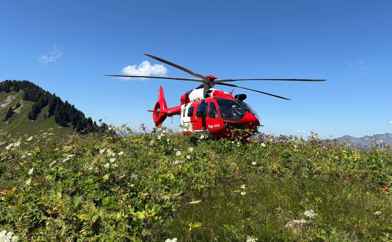 Un elicottero Rega Airbus H145 rosso è atterrato su un prato di montagna, circondato da piante verdi e fiori bianchi, sotto un cielo azzurro. L'immagine illustra un intervento in seguito a un incidente escursionistico.