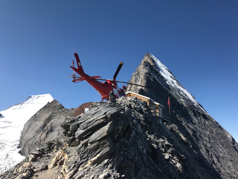 Neu eingetroffen  Eiger Protection - Schweiz